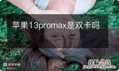 苹果13promax是双卡吗