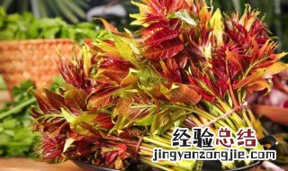 香椿怎么保存时间更长 香椿怎么保存时间更长视频