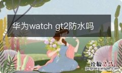 华为watch gt2防水吗