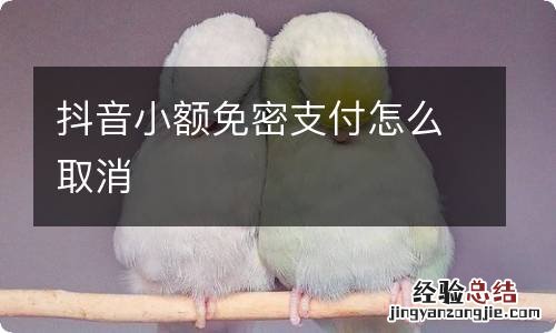 抖音小额免密支付怎么取消