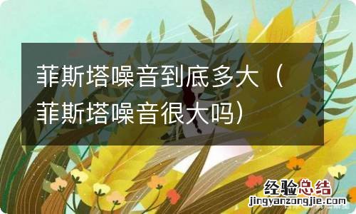 菲斯塔噪音很大吗 菲斯塔噪音到底多大