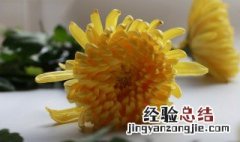 清明节买什么东西扫墓 清明节带什么扫墓