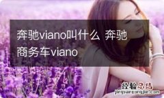 奔驰viano叫什么 奔驰商务车viano