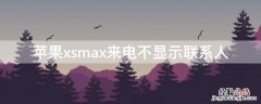 苹果xs max来电没有显示联系人 iPhonexsmax来电不显示联系人