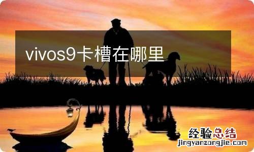 vivos9卡槽在哪里