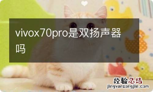 vivox70pro是双扬声器吗