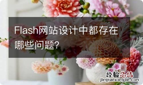 Flash网站设计中都存在哪些问题？