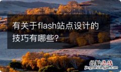 有关于flash站点设计的技巧有哪些？