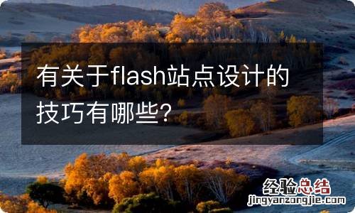 有关于flash站点设计的技巧有哪些？