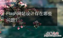 Flash网站设计存在哪些问题？