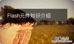 Flash元件知识介绍