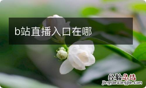 b站直播入口在哪