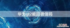 华为gt2能回微信吗 华为gt2为什么不能回微信