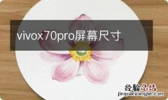 vivox70pro屏幕尺寸