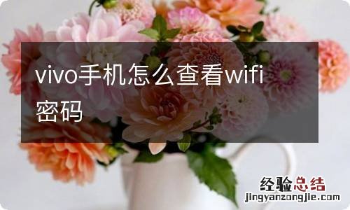 vivo手机怎么查看wifi密码