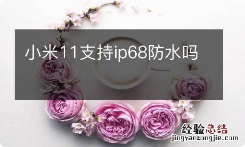 小米11支持ip68防水吗