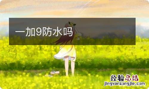 一加9防水吗