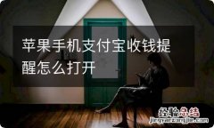 苹果手机支付宝收钱提醒怎么打开