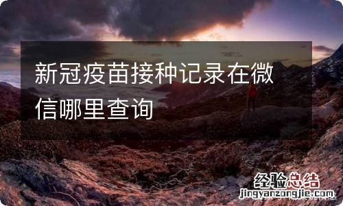 新冠疫苗接种记录在微信哪里查询
