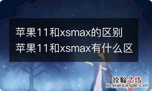 苹果11和xsmax的区别 苹果11和xsmax有什么区别