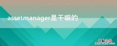 assetmanager是干嘛的 asset manager