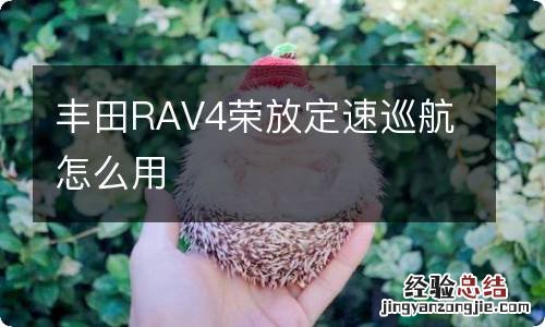 丰田RAV4荣放定速巡航怎么用