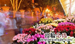 玫瑰花含义和代表什么 玫瑰花含义介绍