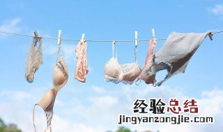 内衣怎么清洗比较干净 内衣的正确清洗方法