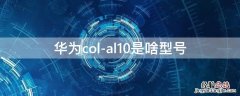 华为col-al10参数 华为col-al10是啥型号