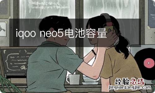 iqoo neo5电池容量