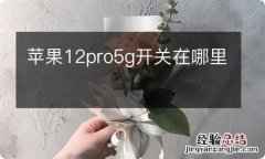 苹果12pro5g开关在哪里