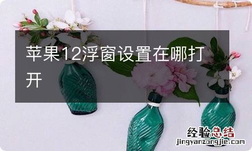 苹果12浮窗设置在哪打开