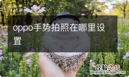 oppo手势拍照在哪里设置