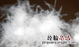鸭绒和鹅绒的区别是什么 鸭绒和鹅绒的区别是什么意思