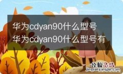 华为cdyan90什么型号 华为cdyan90什么型号有无线充电功能吗