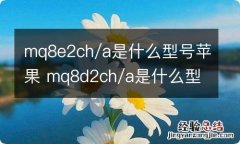 mq8e2ch/a是什么型号苹果 mq8d2ch/a是什么型号