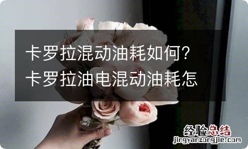 卡罗拉混动油耗如何? 卡罗拉油电混动油耗怎么样