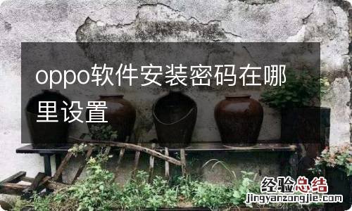 oppo软件安装密码在哪里设置