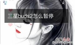 三星buds2怎么暂停