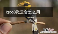 iqoo8微云台怎么用