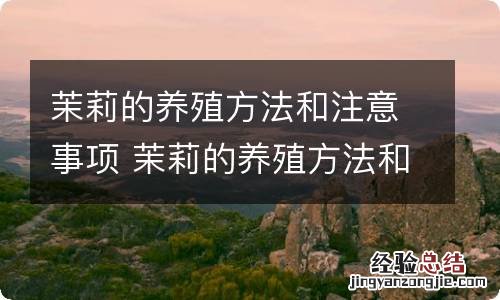 茉莉的养殖方法和注意事项 茉莉的养殖方法和注意事项有哪些