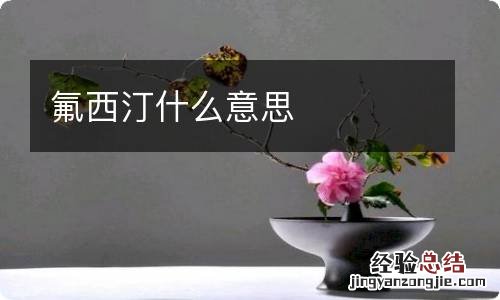 氟西汀什么意思