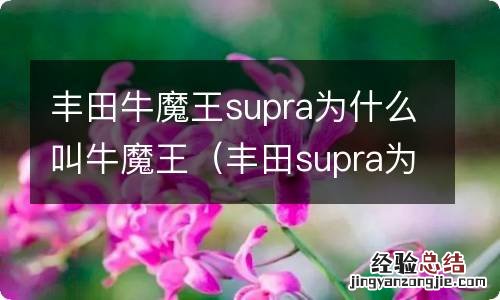 丰田supra为啥叫牛魔王 丰田牛魔王supra为什么叫牛魔王