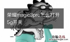 荣耀magic3pro怎么打开5g开关