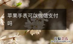 苹果手表可以微信支付吗