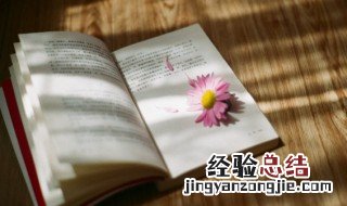 ins上的有格调的句子 简短而很有深度的句子