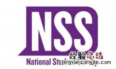 nss是什么意思 nss解释