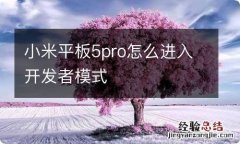 小米平板5pro怎么进入开发者模式