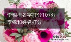 李锦梅名字打分107分 李锦和姓名打分