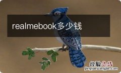 realmebook多少钱